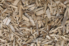 biomass boilers Ellerton